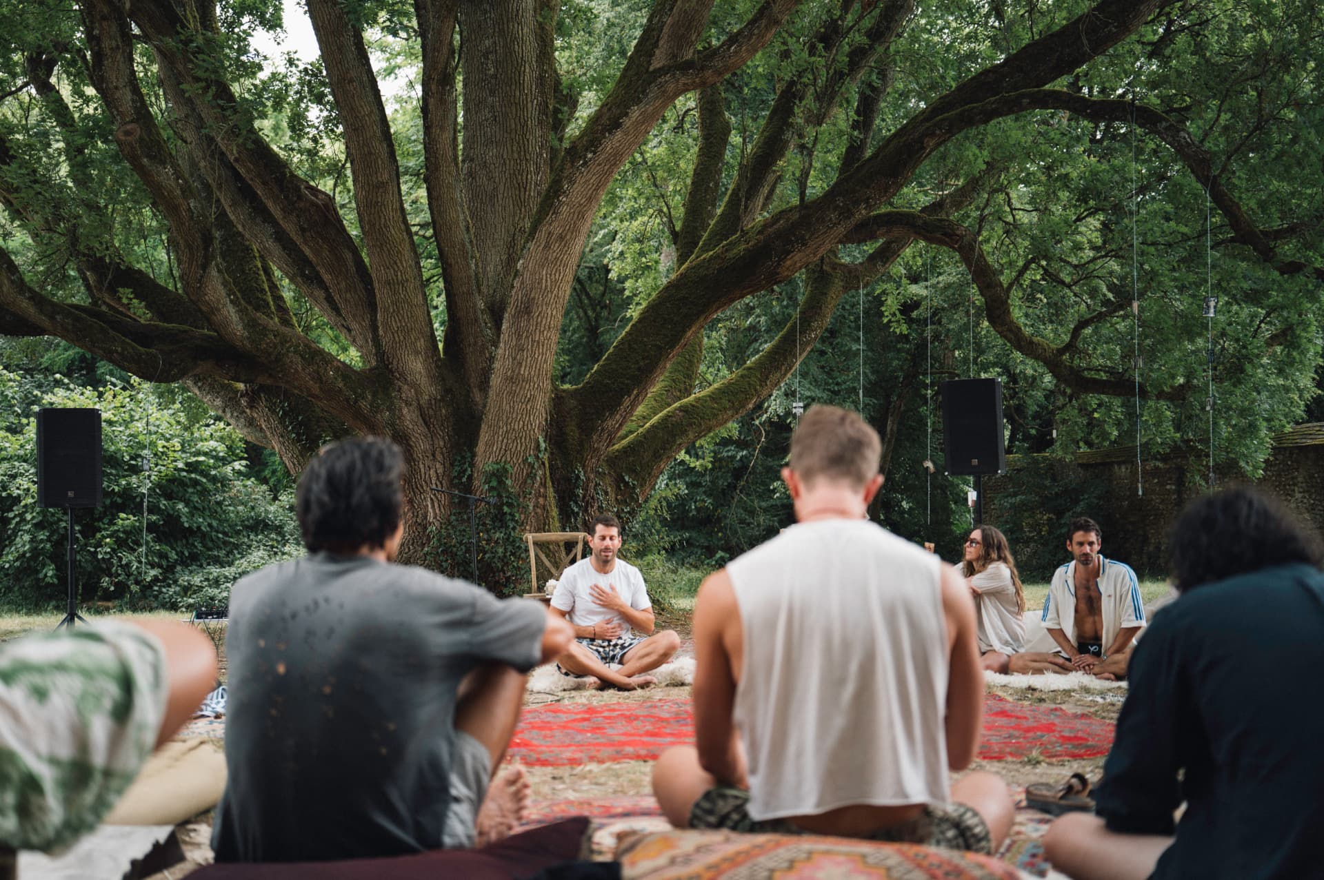 A small group sitting in a circle beneath a sprawling oak tree